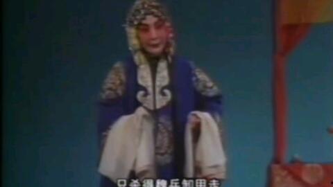 娱乐吃瓜遛鸟大师是谁啊,网络红人的传奇故事